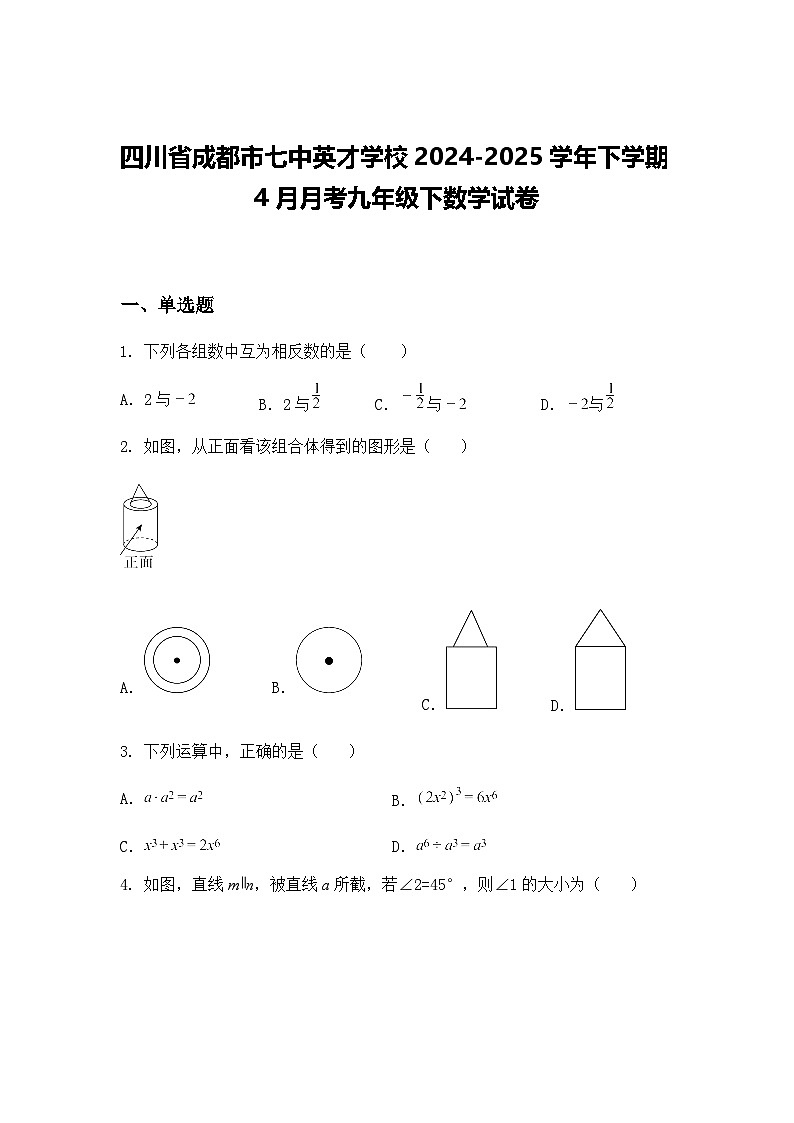 四川省成都市七中英才学校2024-2025学年下学期4月月考九年级下数学试卷（含答案解析）第1页