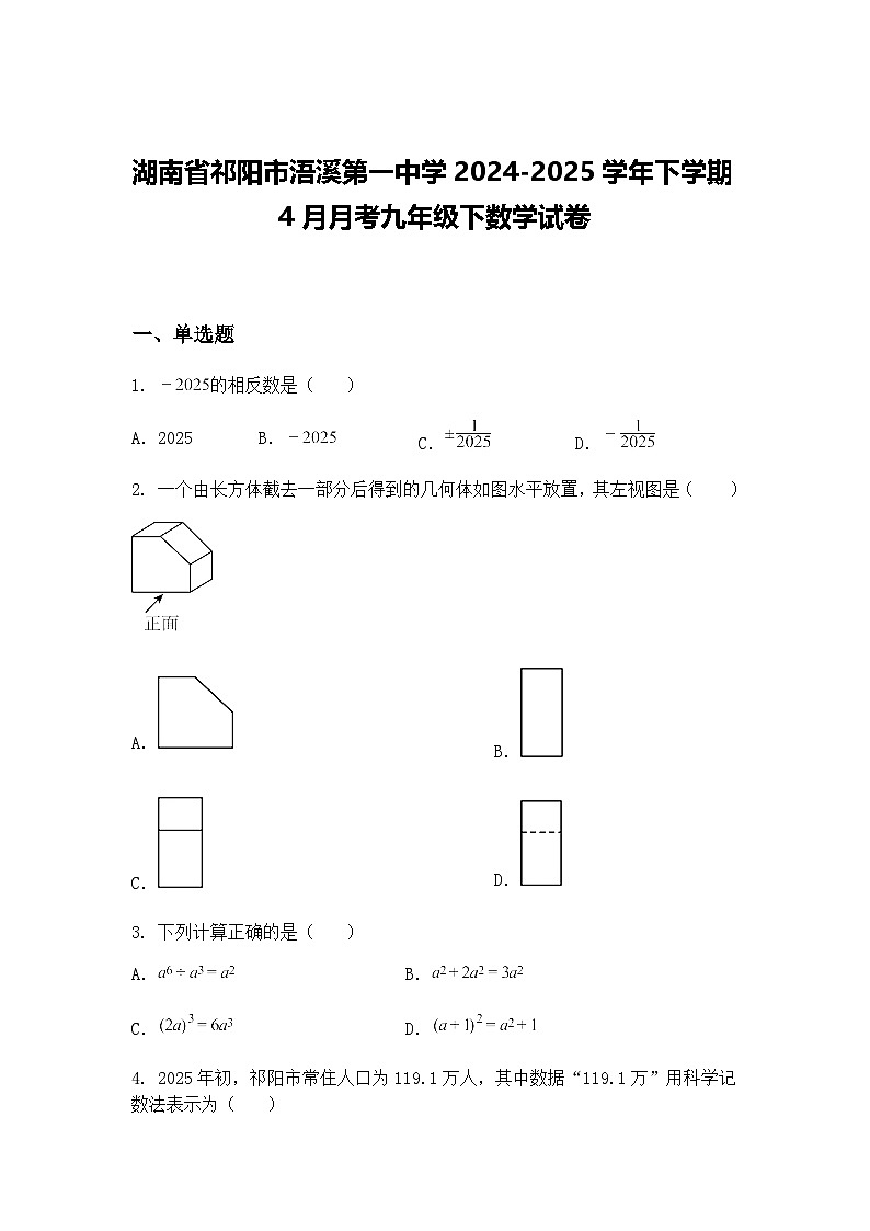 湖南省祁阳市浯溪第一中学2024-2025学年下学期4月月考九年级下数学试卷（含答案解析）第1页