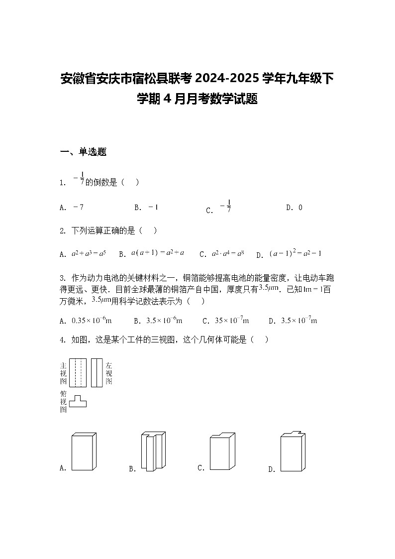 安徽省安庆市宿松县联考2024-2025学年九年级下学期4月月考数学试题（含答案解析）第1页