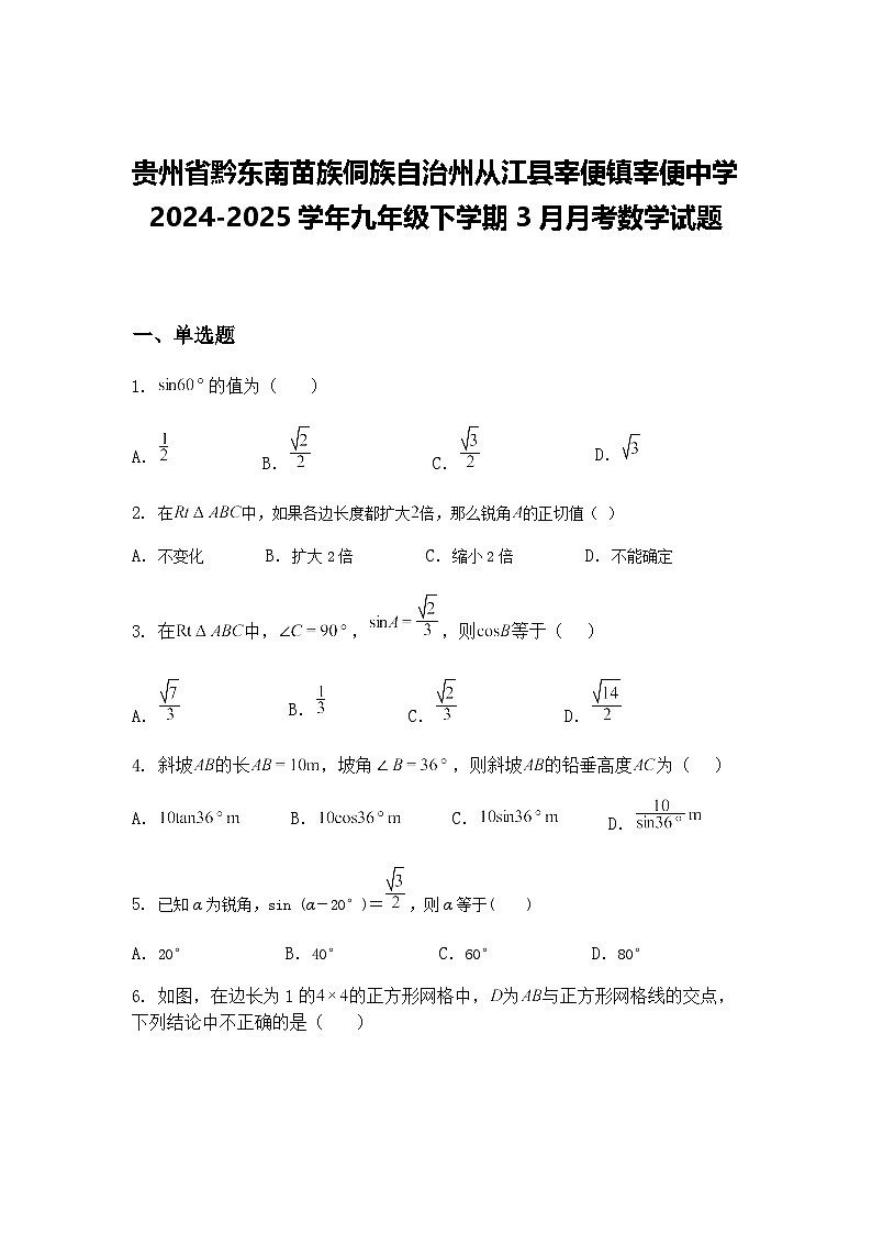 贵州省黔东南苗族侗族自治州从江县宰便镇宰便中学2024-2025学年九年级下学期3月月考数学试题（含答案解析）第1页