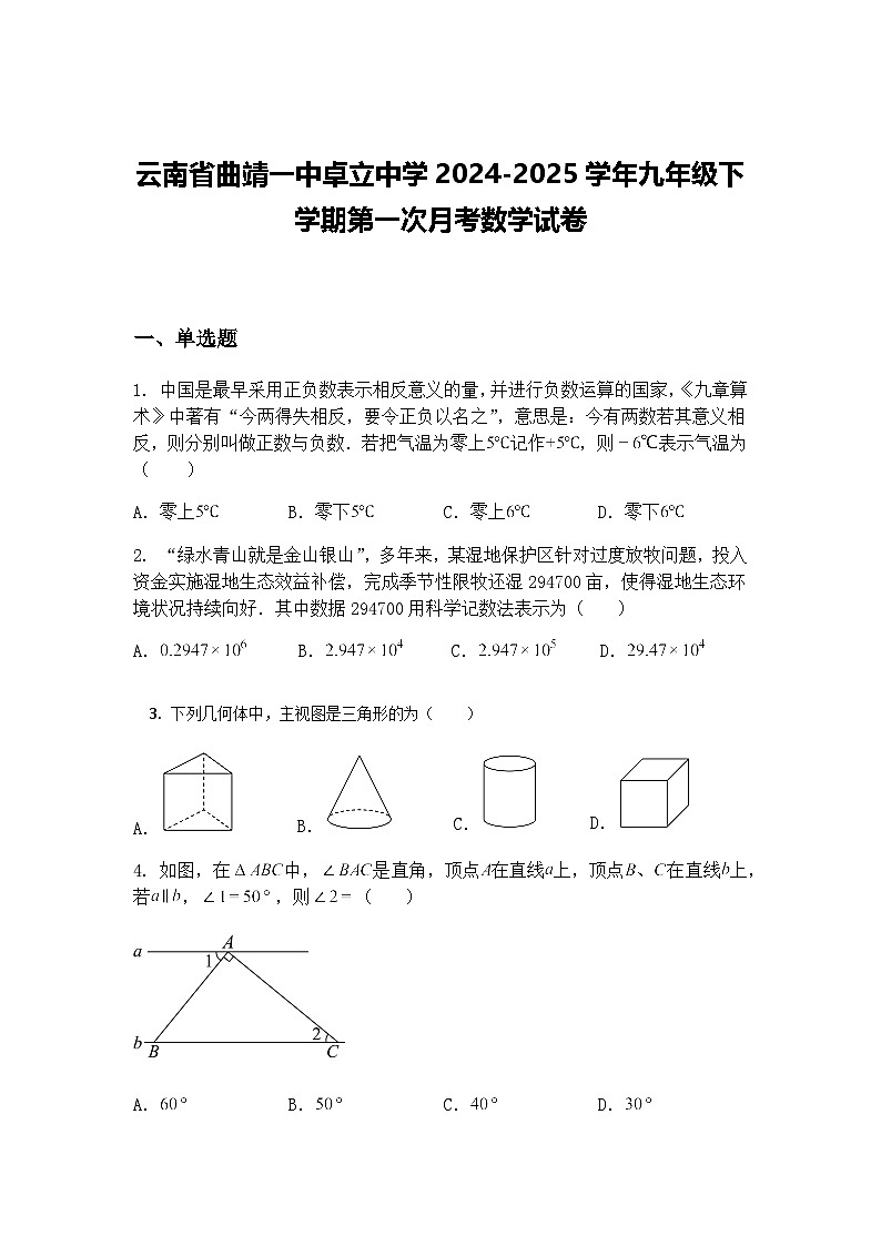 云南省曲靖一中卓立中学2024-2025学年九年级下学期第一次月考数学试卷（含答案解析）第1页