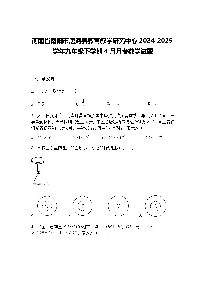 河南省南阳市唐河县教育教学研究中心2024-2025学年九年级下学期4月月考数学试题（含答案解析）第1页