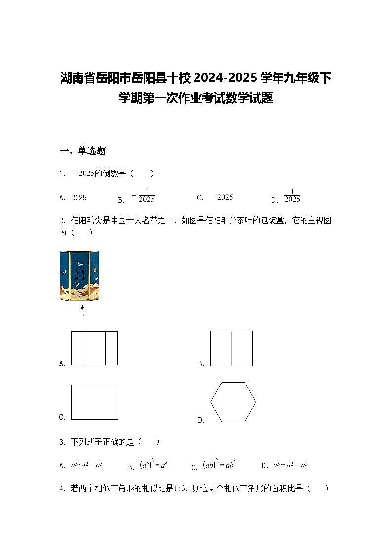 湖南省岳阳市岳阳县十校2024-2025学年九年级下学期第一次作业考试数学试题（含答案解析）第1页