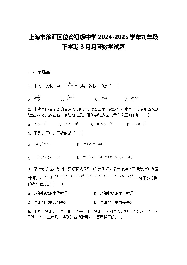 上海市徐汇区位育初级中学2024-2025学年九年级下学期3月月考数学试题（含答案解析）第1页