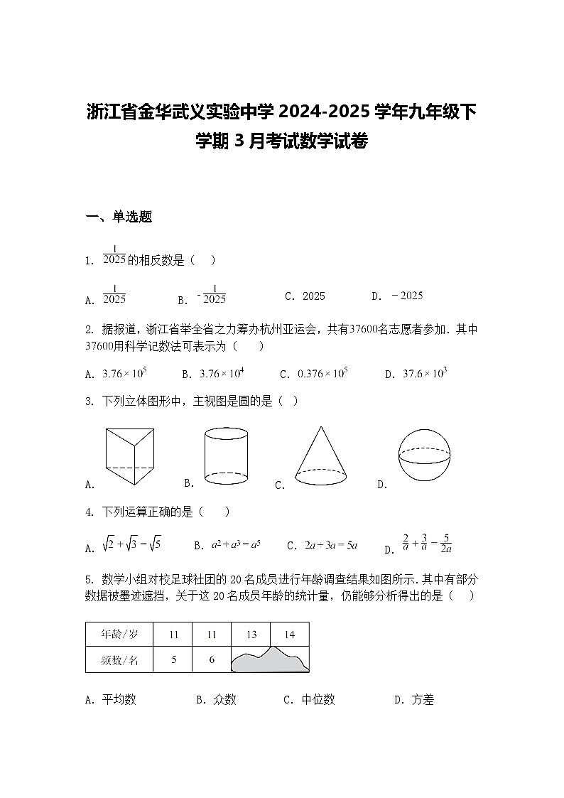 浙江省金华武义实验中学2024-2025学年九年级下学期3月考试数学试卷（含答案解析）第1页