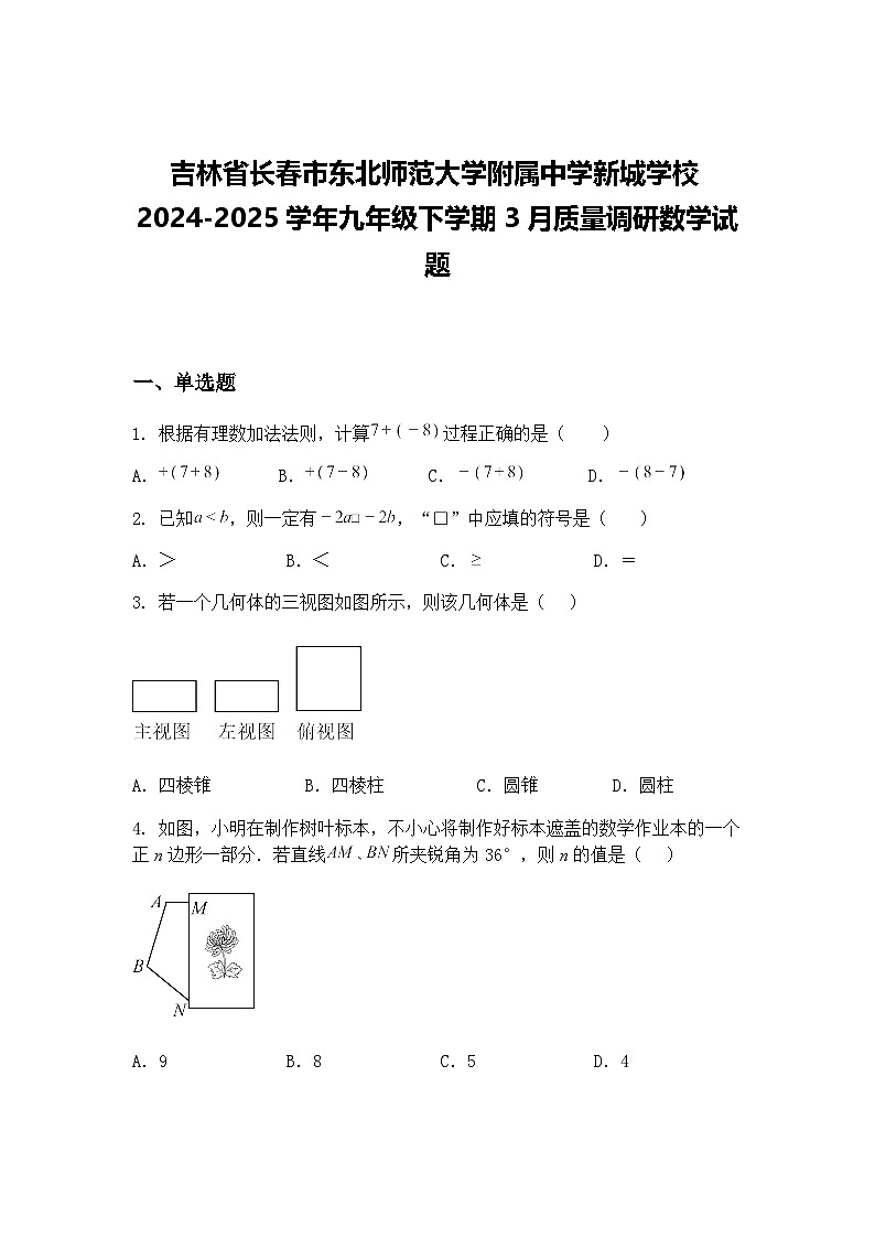 吉林省长春市东北师范大学附属中学新城学校2024-2025学年九年级下学期3月质量调研数学试题（含答案解析）第1页