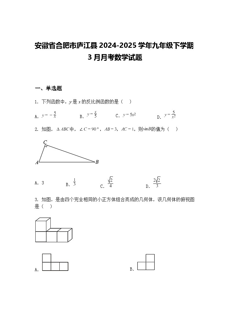 安徽省合肥市庐江县2024-2025学年九年级下学期3月月考数学试题（含答案解析）第1页
