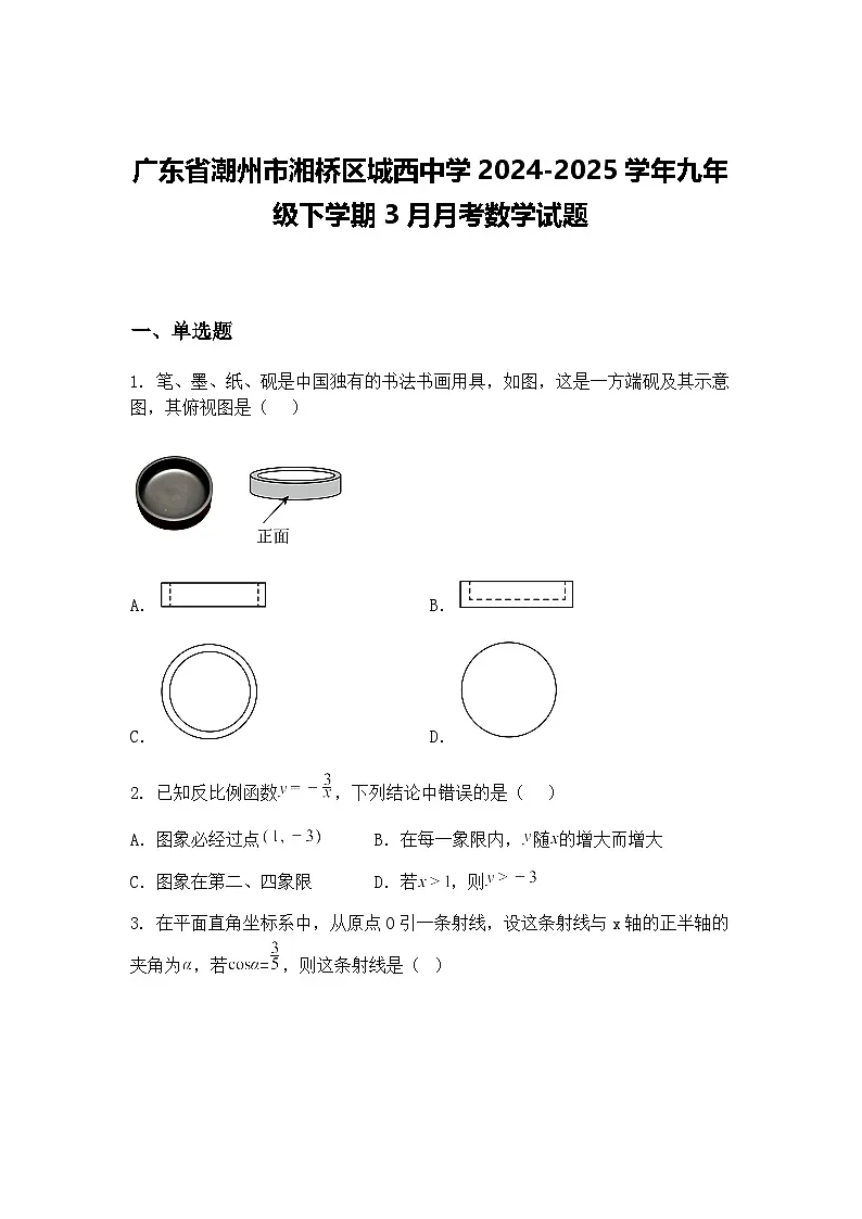 广东省潮州市湘桥区城西中学2024-2025学年九年级下学期3月月考数学试题（含答案解析）第1页