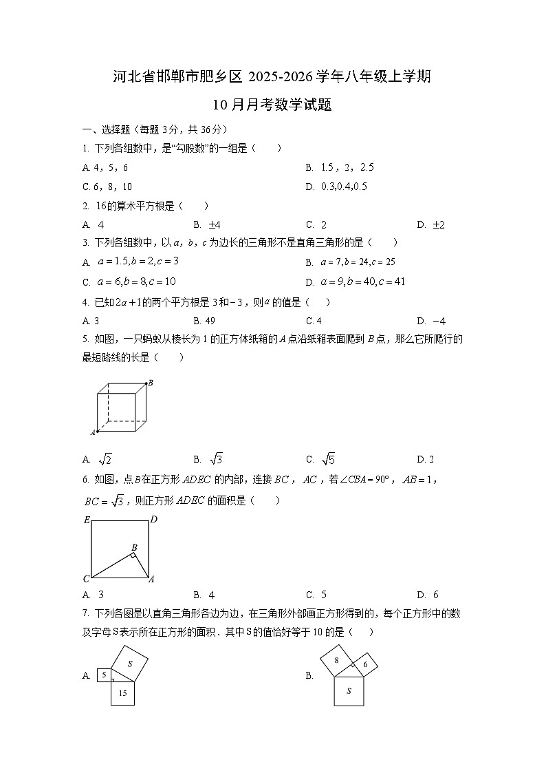 河北省邯郸市肥乡区2025-2026学年八年级上学期10月月考数学试题（学生版）第1页