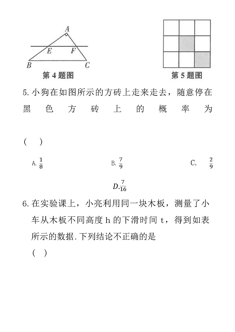 北师大_七年级下册数学_期末测试_含答案-A4第3页