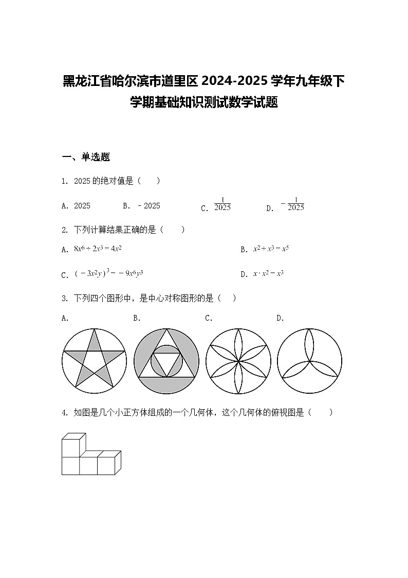 黑龙江省哈尔滨市道里区2024-2025学年九年级下学期基础知识测试数学试题（含答案解析）第1页