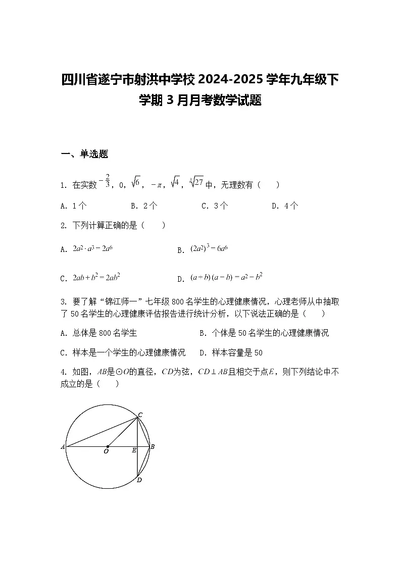 四川省遂宁市射洪中学校2024-2025学年九年级下学期3月月考数学试题（含答案解析）第1页