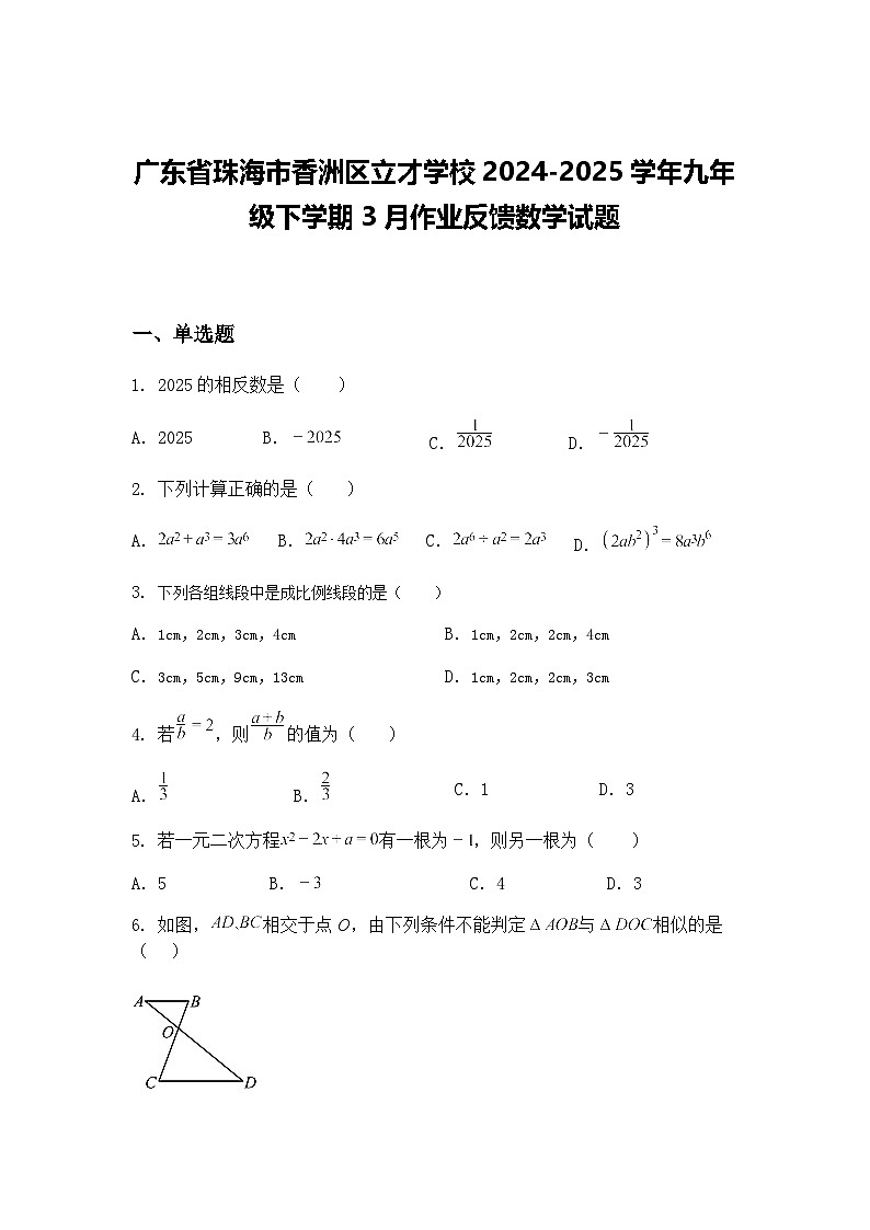 广东省珠海市香洲区立才学校2024-2025学年九年级下学期3月作业反馈数学试题（含答案解析）第1页