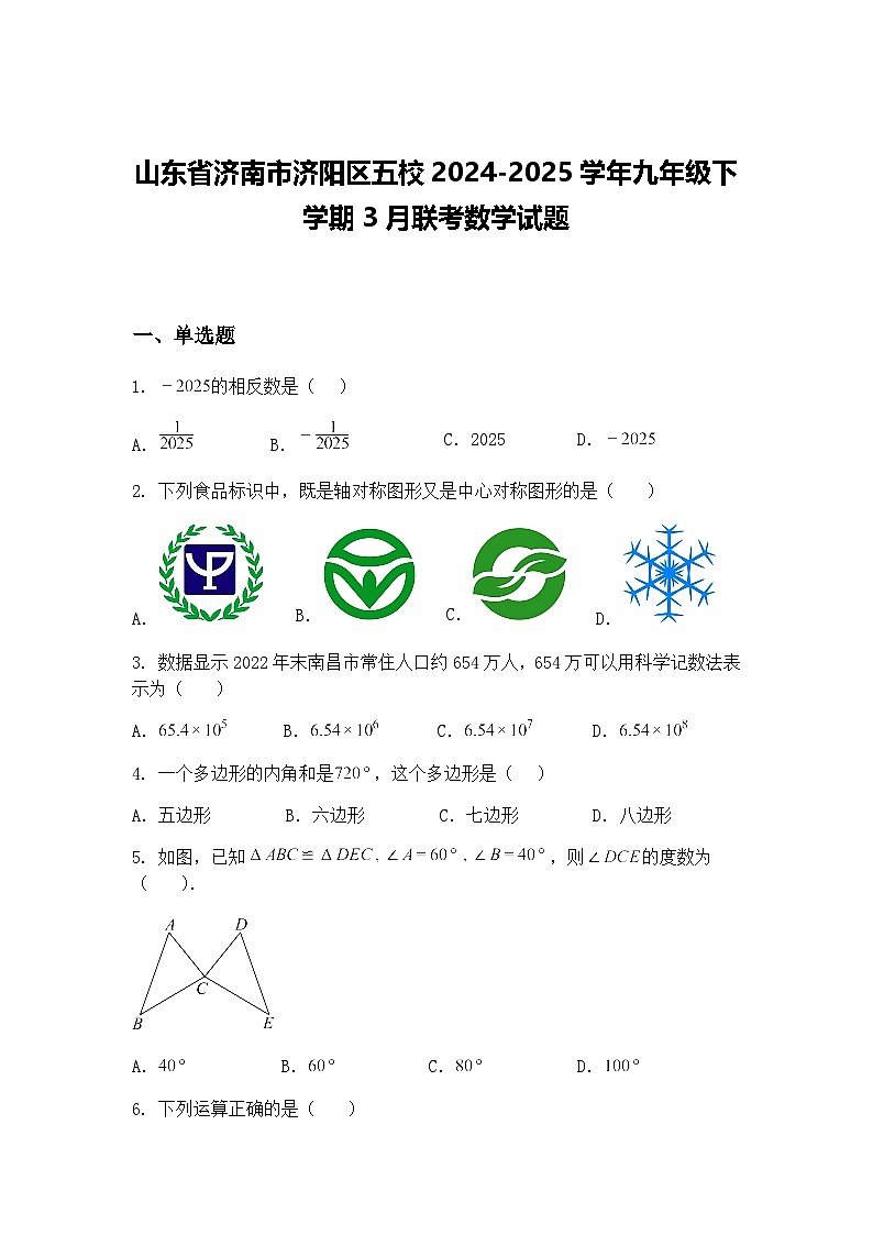 山东省济南市济阳区五校2024-2025学年九年级下学期3月联考数学试题（含答案解析）第1页