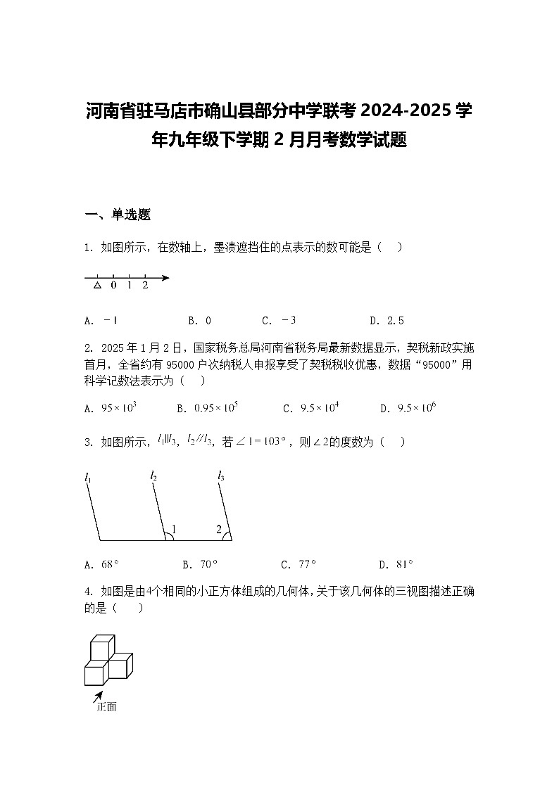 河南省驻马店市确山县部分中学联考2024-2025学年九年级下学期2月月考数学试题（含答案解析）第1页