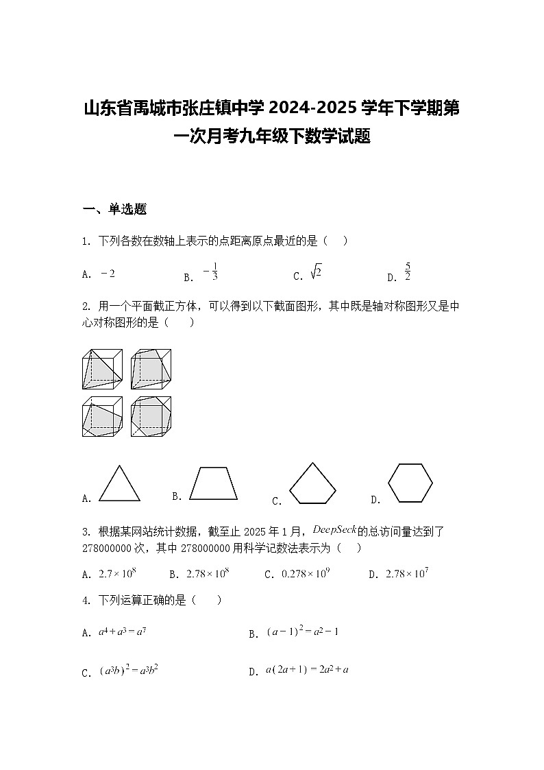 山东省禹城市张庄镇中学2024-2025学年下学期第一次月考九年级下数学试题（含答案解析）第1页