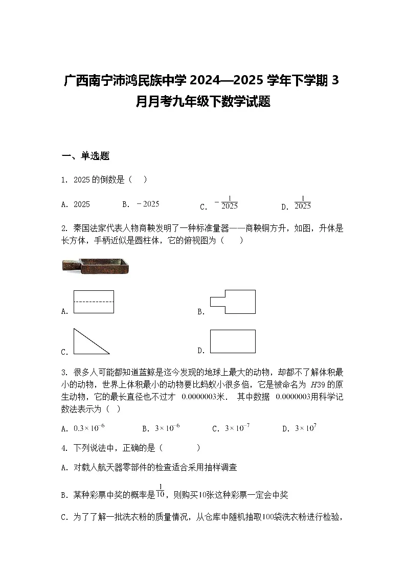 广西南宁沛鸿民族中学2024—2025学年下学期3月月考九年级下数学试题（含答案解析）第1页