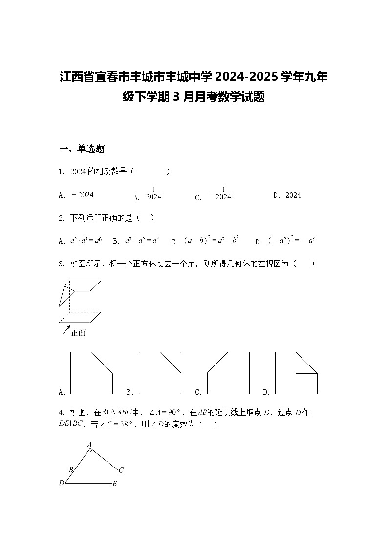 江西省宜春市丰城市丰城中学2024-2025学年九年级下学期3月月考数学试题（含答案解析）第1页