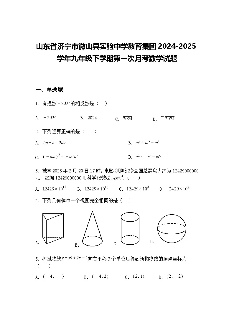 山东省济宁市微山县实验中学教育集团2024-2025学年九年级下学期第一次月考数学试题（含答案解析）第1页