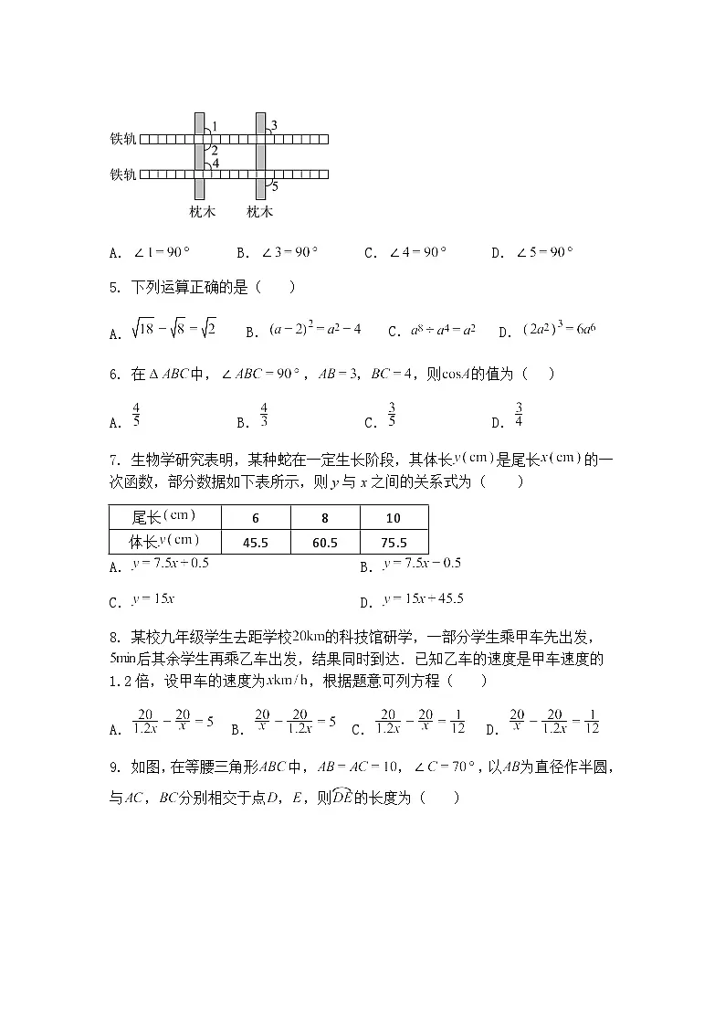 福建省福州第十九中学2024-2025学年 九年级下学期数学3月月考试题（含答案解析）第2页