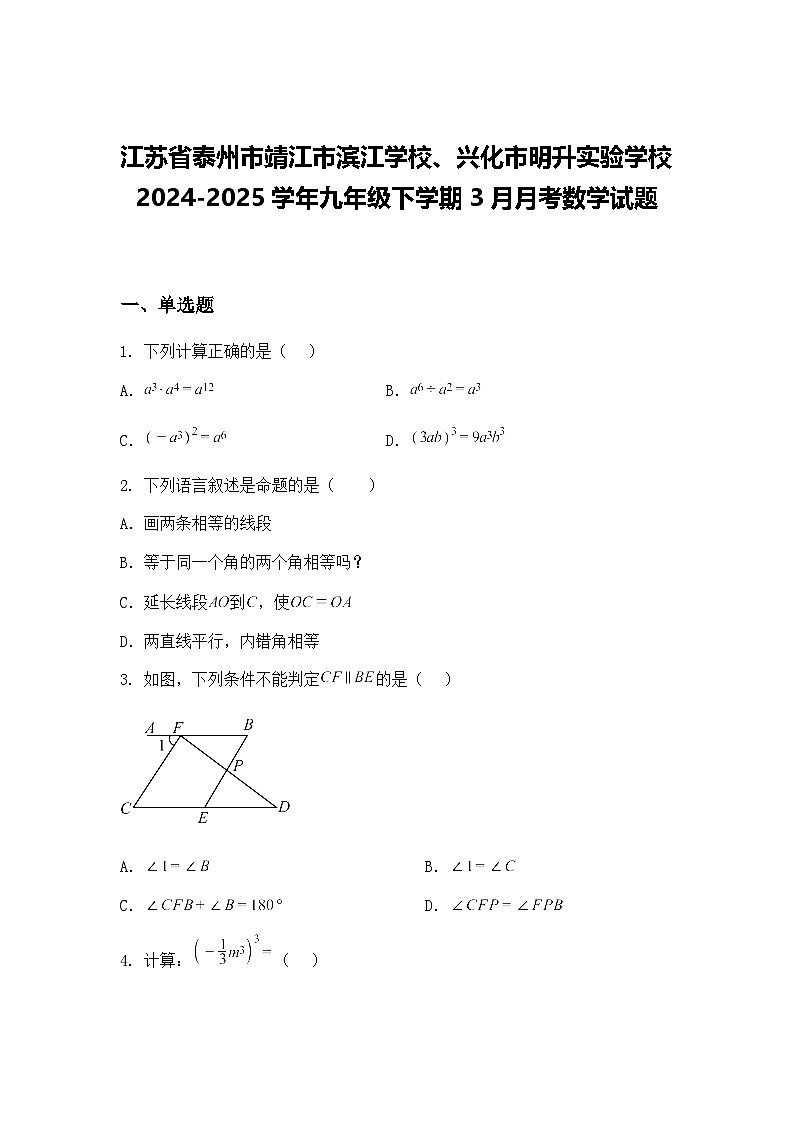 江苏省泰州市靖江市滨江学校、兴化市明升实验学校2024-2025学年九年级下学期3月月考数学试题（含答案解析）第1页