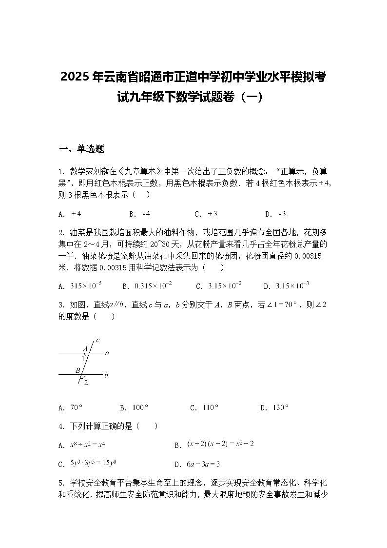 2025年云南省昭通市正道中学初中学业水平模拟考试九年级下数学试题卷（一）（含答案解析）第1页