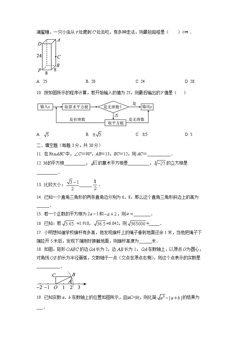 山东省青岛市胶州市2025-2026学年八年级上学期10月月考数学试题（学生版）第2页