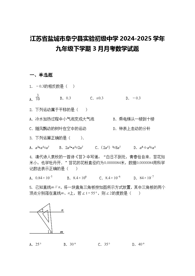 江苏省盐城市阜宁县实验初级中学2024-2025学年九年级下学期3月月考数学试题（含答案解析）第1页