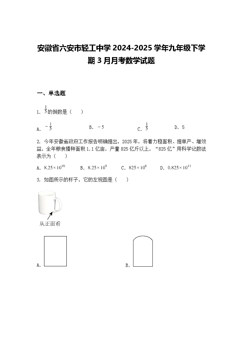 安徽省六安市轻工中学2024-2025学年九年级下学期3月月考数学试题（含答案解析）第1页