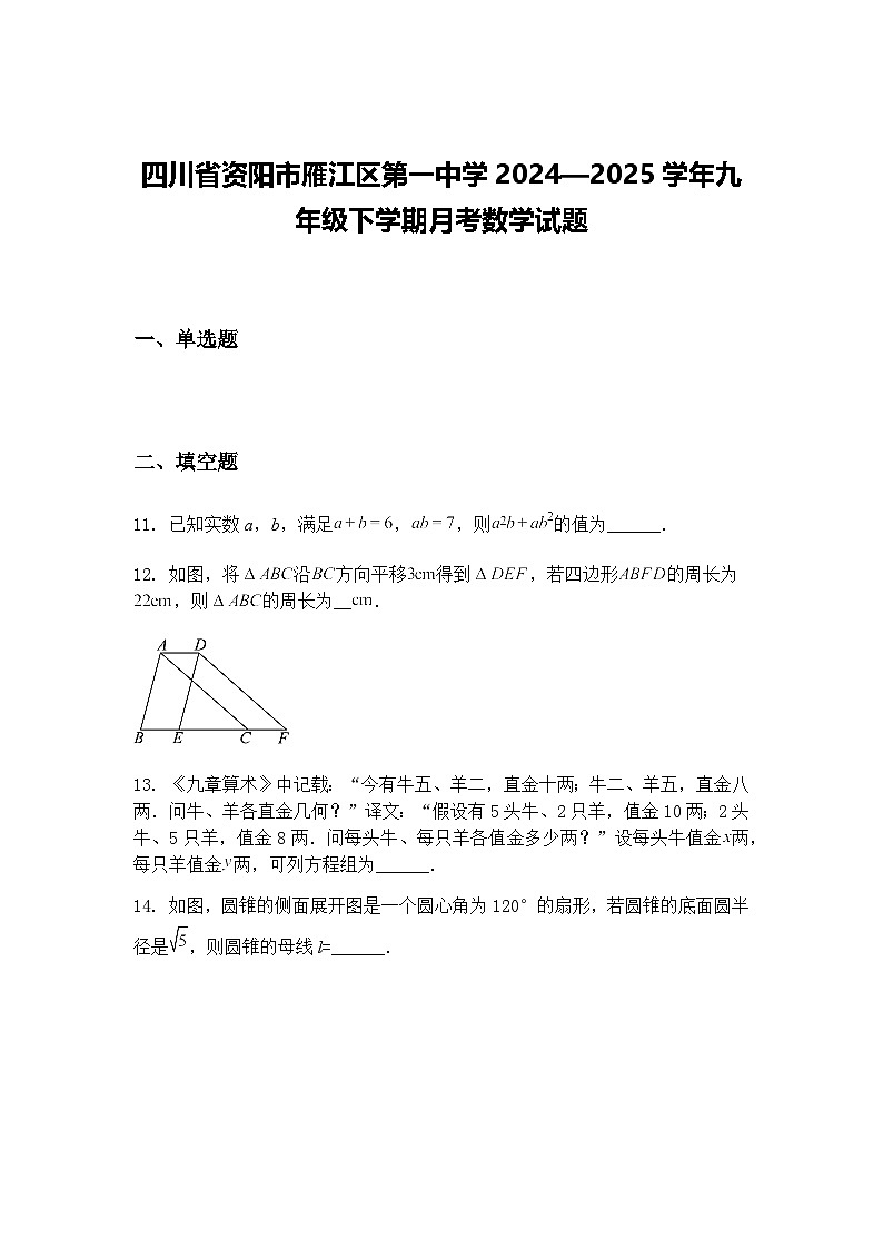 四川省资阳市雁江区第一中学2024—2025学年九年级下学期月考数学试题（含答案解析）第1页