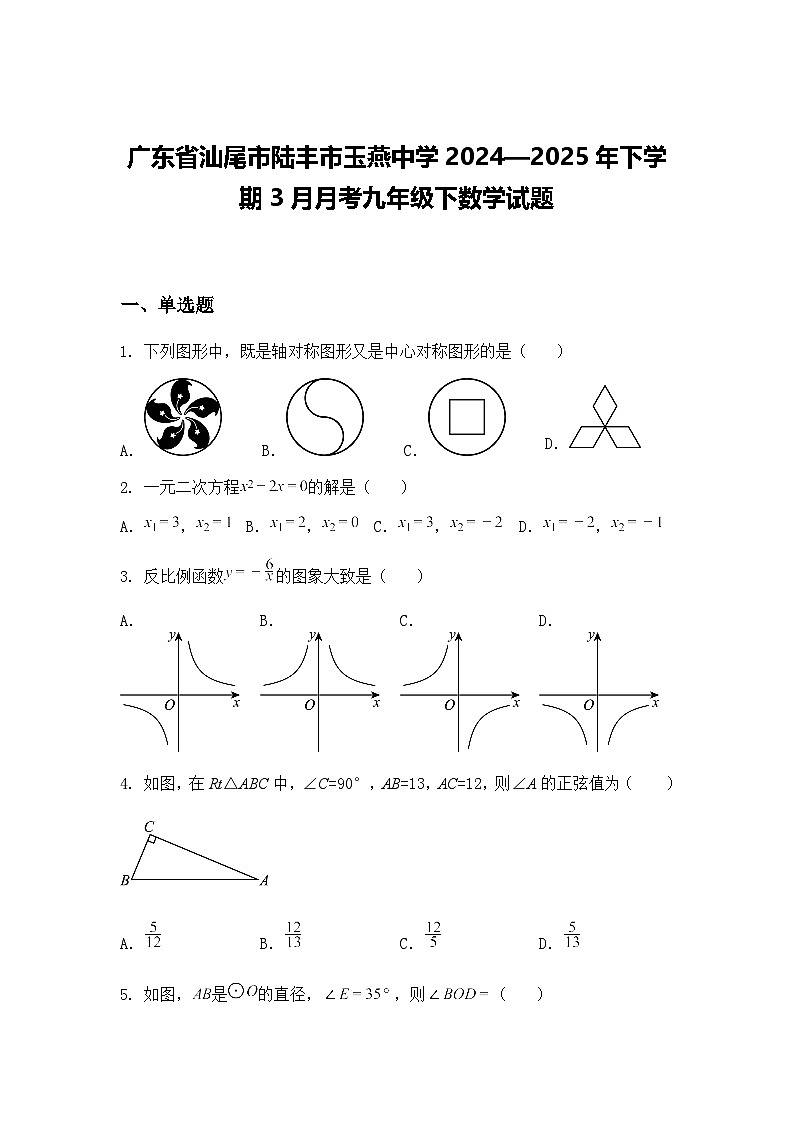 广东省汕尾市陆丰市玉燕中学2024—2025年下学期3月月考九年级下数学试题（含答案解析）第1页