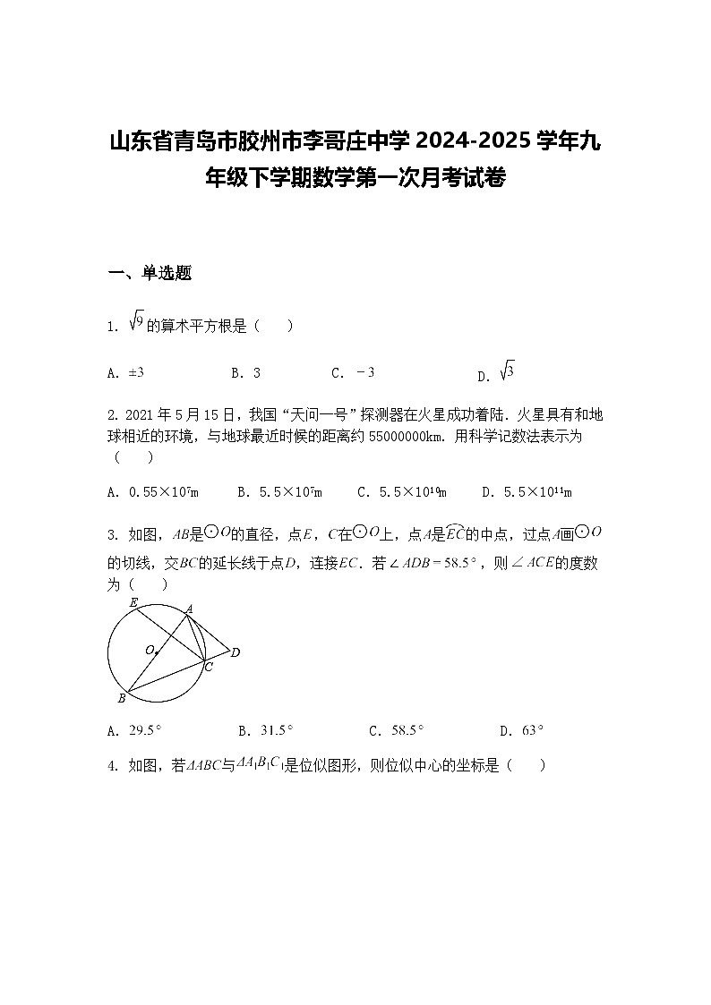 山东省青岛市胶州市李哥庄中学2024-2025学年九年级下学期数学第一次月考试卷（含答案解析）第1页