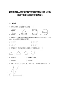 北京市中国人民大学附属中学朝阳学校2024--2025学年下学期九年级下数学统练5（含答案解析）