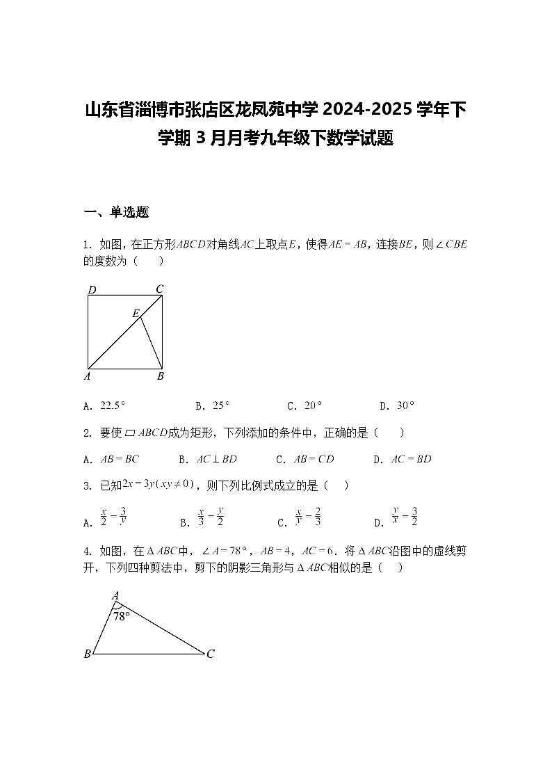 山东省淄博市张店区龙凤苑中学2024-2025学年下学期3月月考九年级下数学试题（含答案解析）第1页