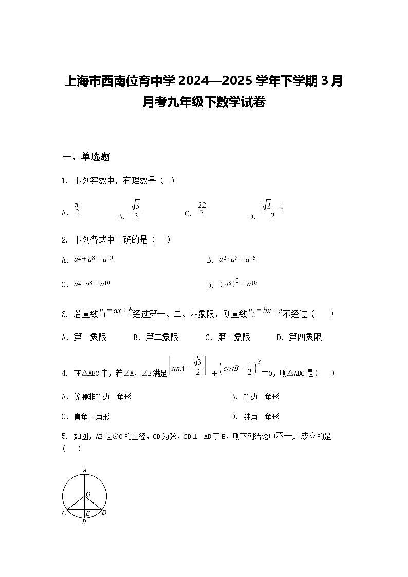 上海市西南位育中学2024—2025学年下学期3月月考九年级下数学试卷（含答案解析）第1页