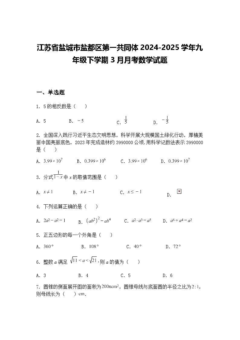江苏省盐城市盐都区第一共同体2024-2025学年九年级下学期3月月考数学试题（含答案解析）第1页