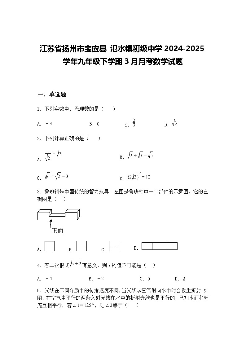 江苏省扬州市宝应县 氾水镇初级中学2024-2025学年九年级下学期3月月考数学试题（含答案解析）第1页