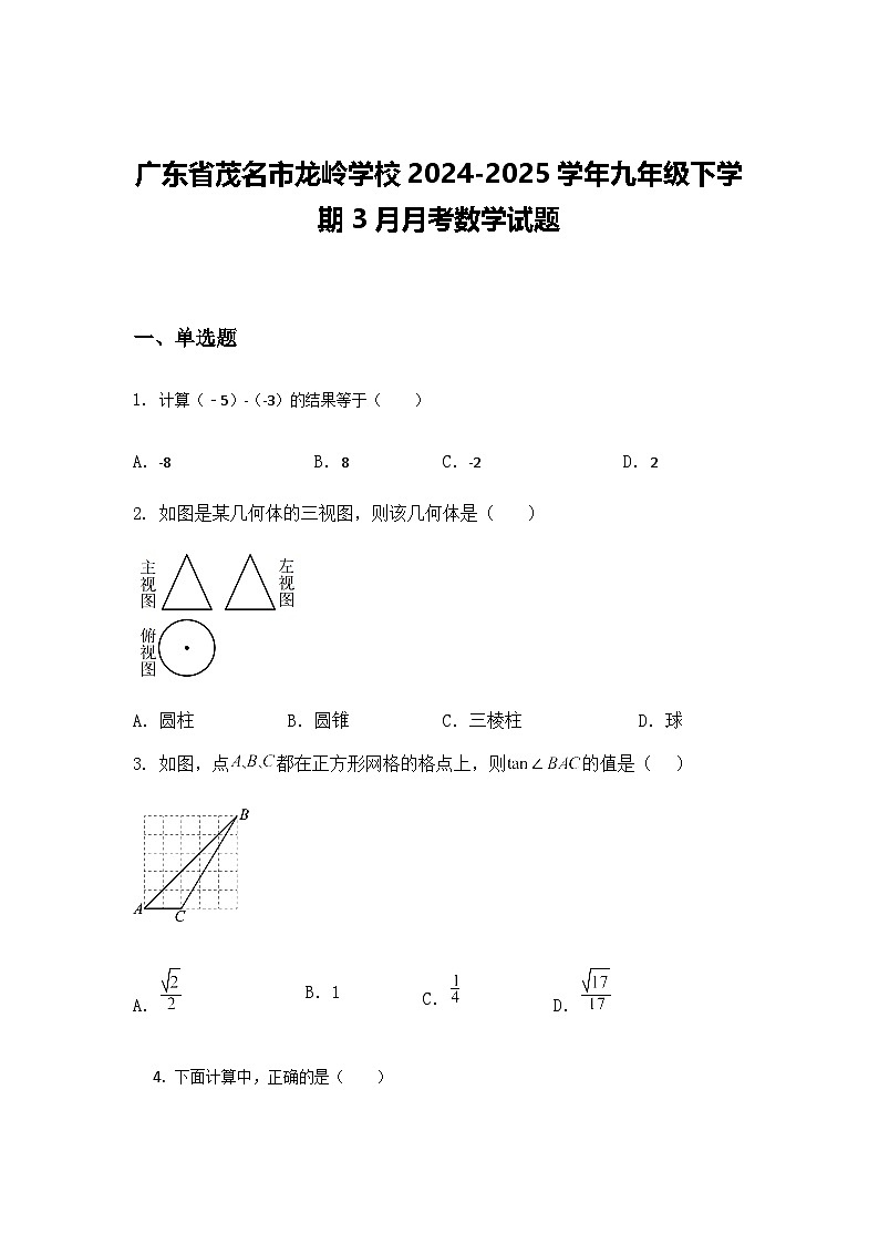 广东省茂名市龙岭学校2024-2025学年九年级下学期3月月考数学试题（含答案解析）第1页