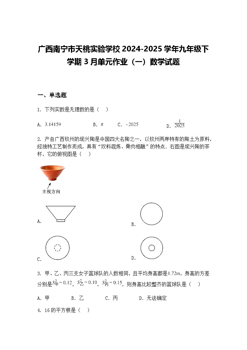 广西南宁市天桃实验学校2024-2025学年九年级下学期3月单元作业（一）数学试题（含答案解析）第1页