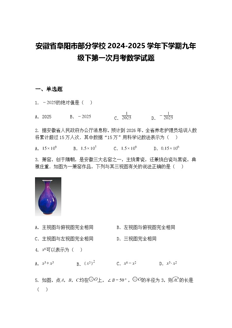 安徽省阜阳市部分学校2024-2025学年下学期九年级下第一次月考数学试题（含答案解析）第1页