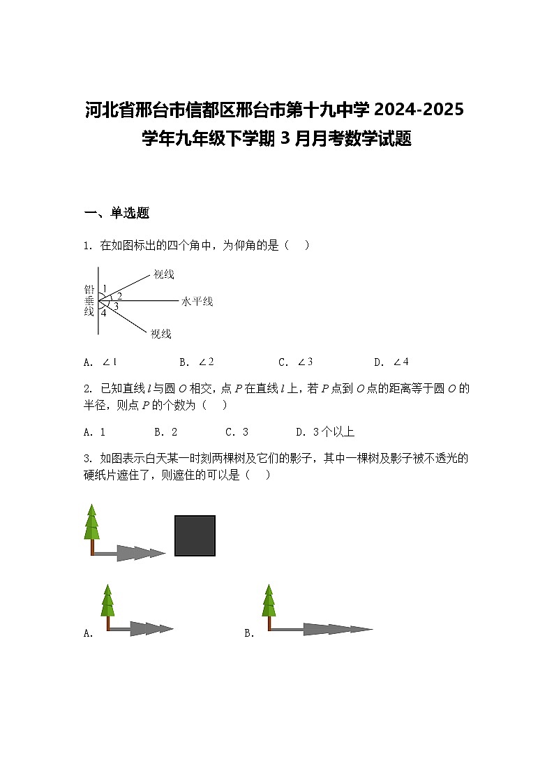 河北省邢台市信都区邢台市第十九中学2024-2025学年九年级下学期3月月考数学试题（含答案解析）第1页