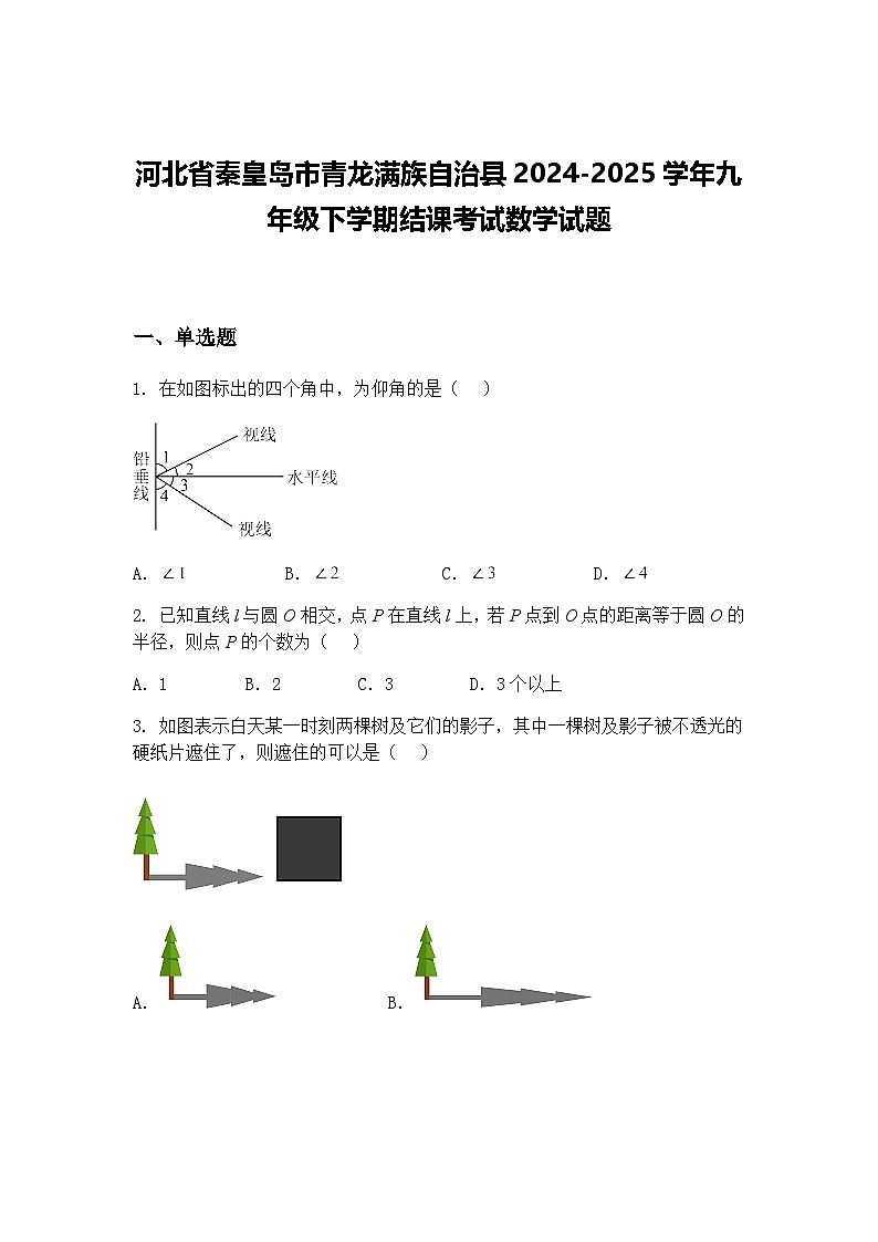 河北省秦皇岛市青龙满族自治县2024-2025学年九年级下学期结课考试数学试题（含答案解析）第1页