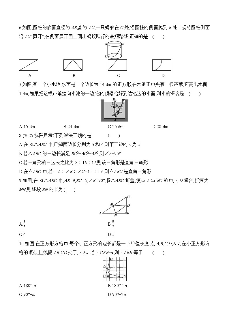 北师大版（2024）八年级上册数学第一章《勾股定理》素养测评卷（含答案解析）第2页