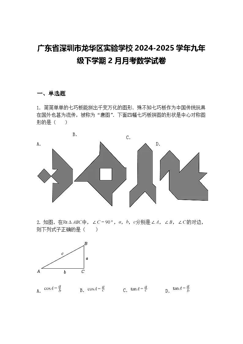 广东省深圳市龙华区实验学校2024-2025学年九年级下学期2月月考数学试卷（含答案解析）第1页