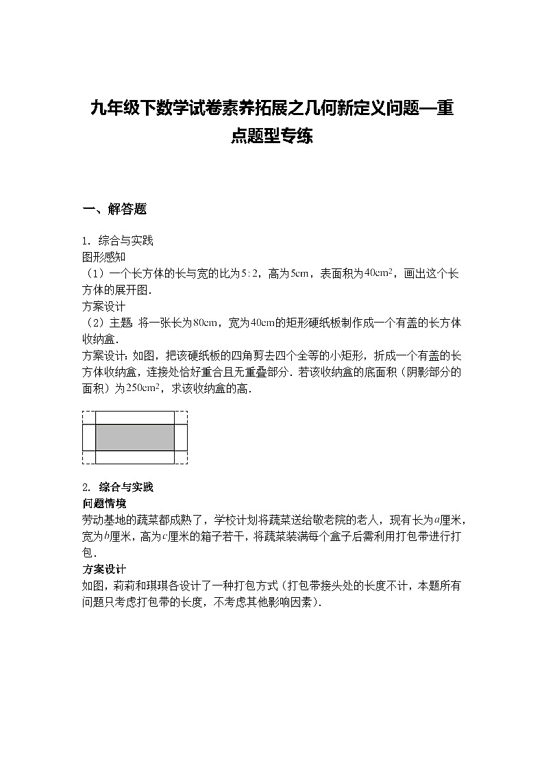 九年级下数学试卷素养拓展之几何新定义问题—重点题型专练（含答案解析）第1页