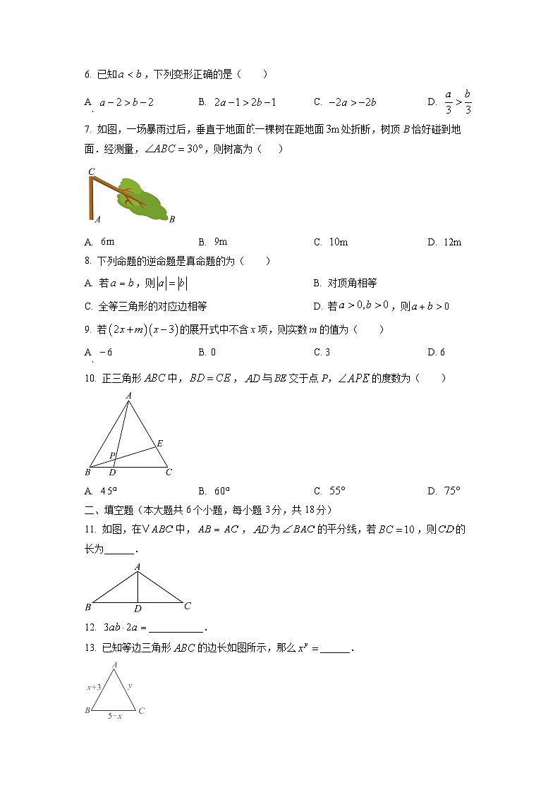 湖南省长沙市2025-2026学年八年级上学期第一次月考数学(2)试题（学生版）第2页
