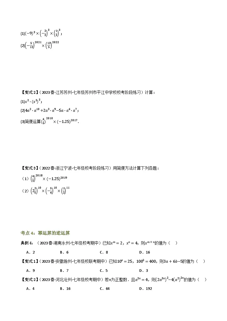 专题04 整式乘法与因式分解（17大考点）(原卷版）第3页