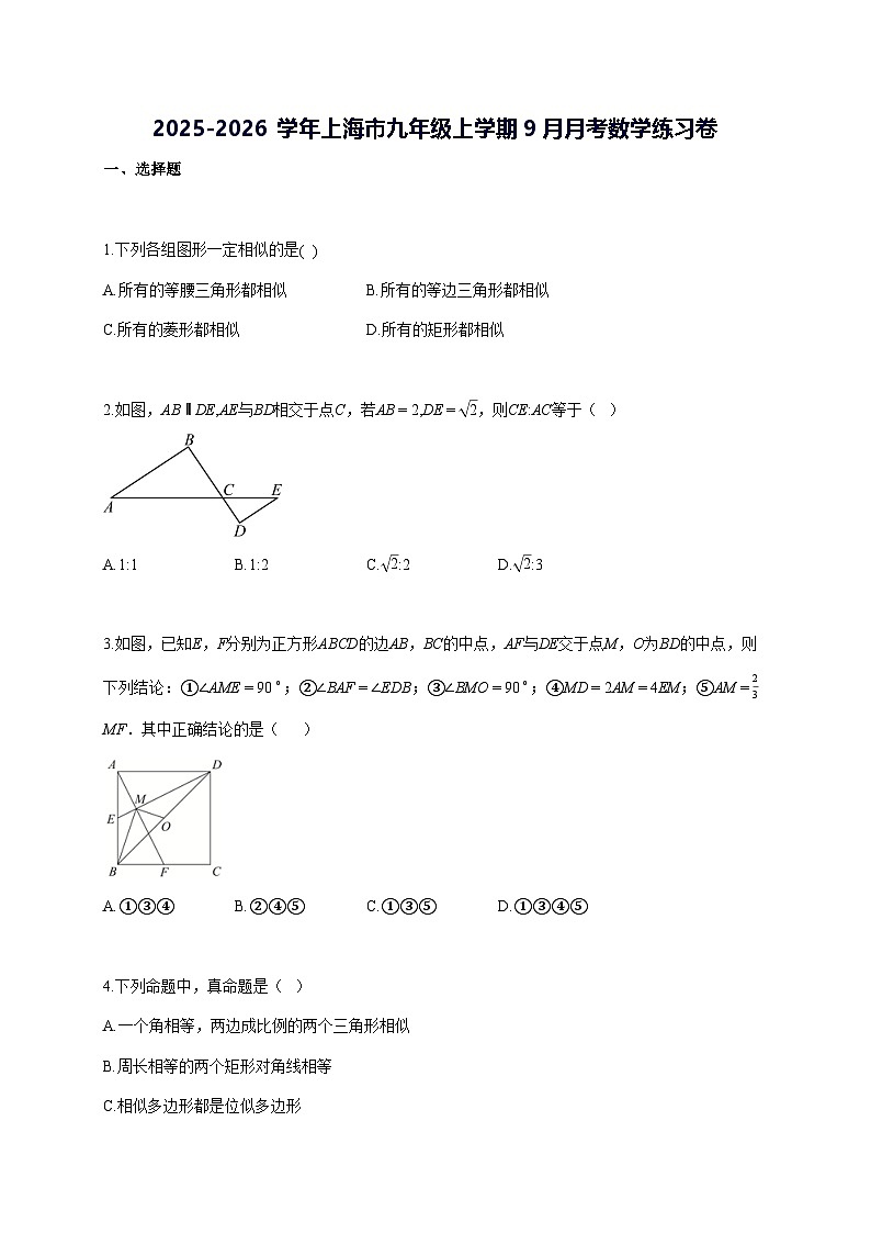 2025~2026学年上海市九年级上学期[9月]月考数学练习卷 [答案]第1页