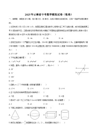 2025年云南省中考数学模拟试卷(乾卷)-自定义类型