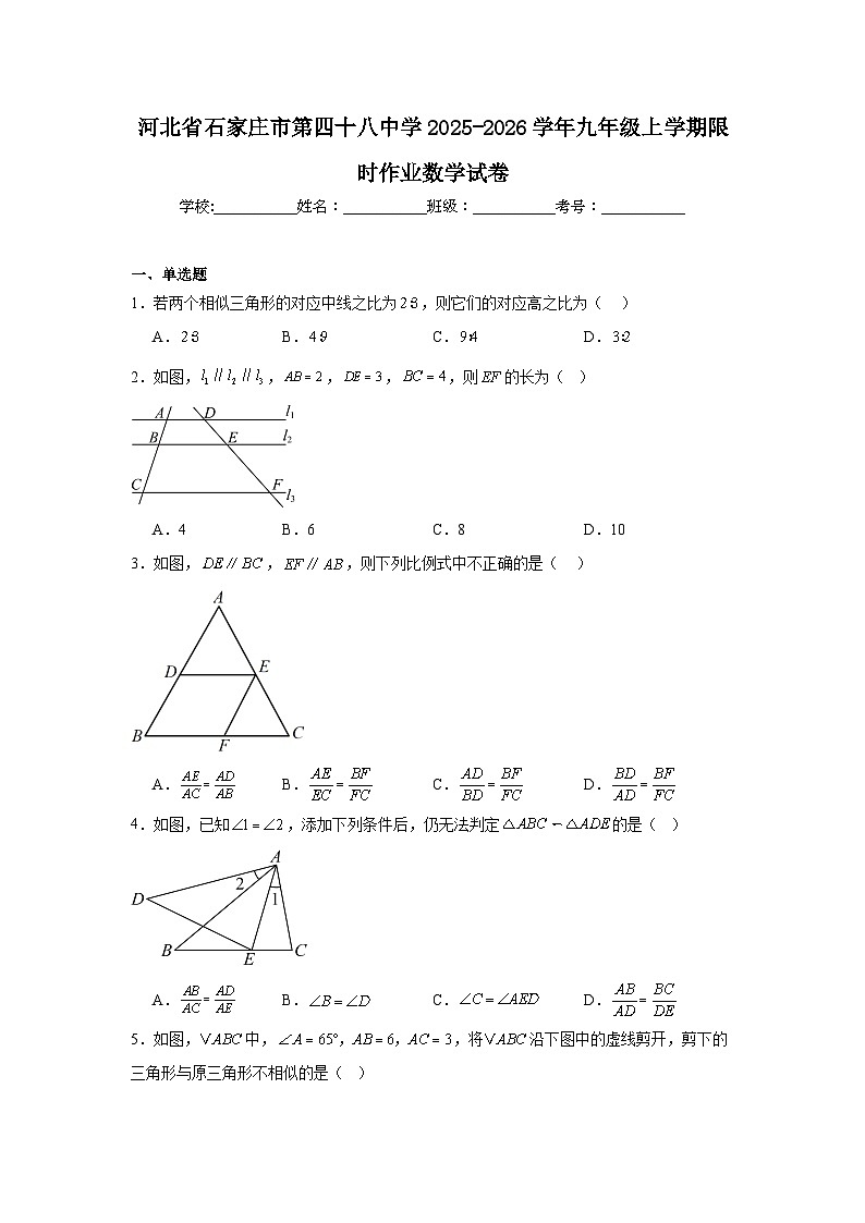 2025-2026学年河北省石家庄市栾城区第四十八中学九年级上学期限时作业数学试题第1页